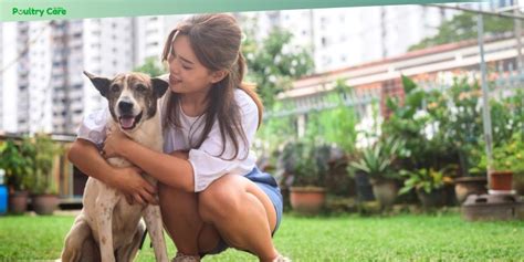 10 Dog Days Diary Tips For Happy Pups