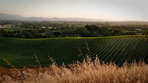 10 Santa Ynez Hotel Secrets For Best Rates