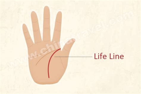 10 Short Life Line Palm Tips For Longer Life