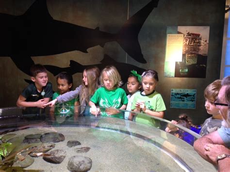 10 Ty Warner Sea Center Secrets To Unlock