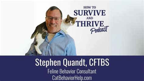 10+ Ways To Help A Cat With One Eye Thrive
