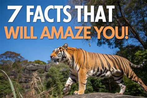 12 Animal Facts From A To Z That Will Amaze