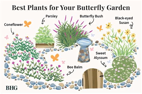 12 Bird Bee Secrets For Better Gardens