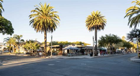 12+ Deltopia Tips For A Safe Experience