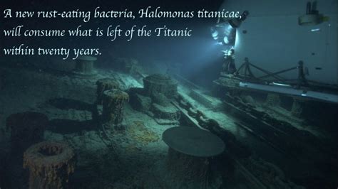 12 Haunting Titanic Facts Fizx 12 Haunting Titanic Facts Fizx