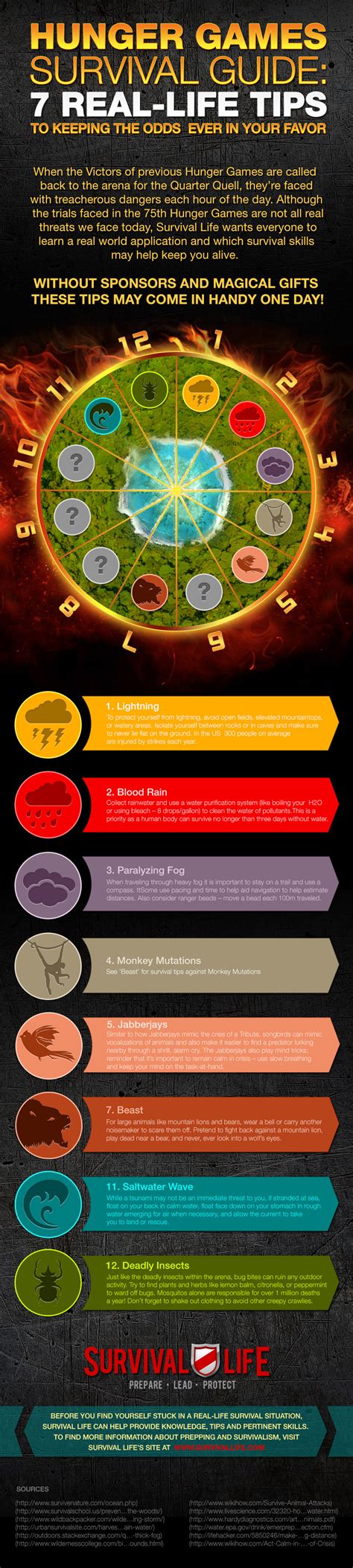 12+ Hunger Games Tips To Improve Your Survival Skills