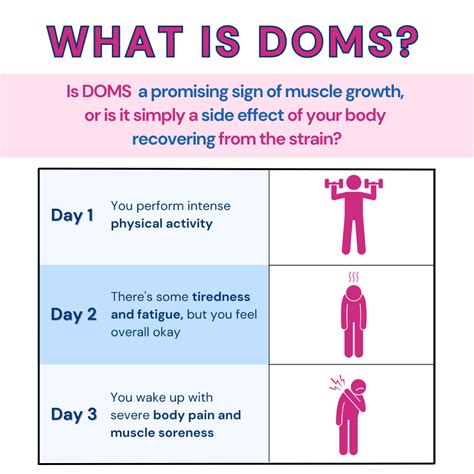 12+ Little Doms Hacks For Better Experience