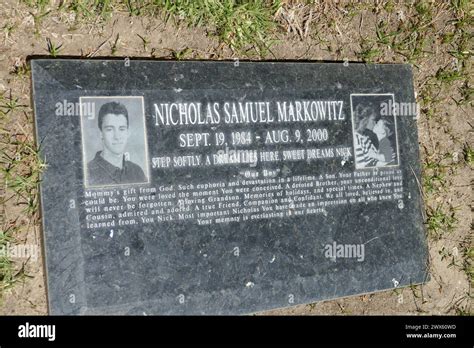 12 Nicholas Markowitz Facts Revealed