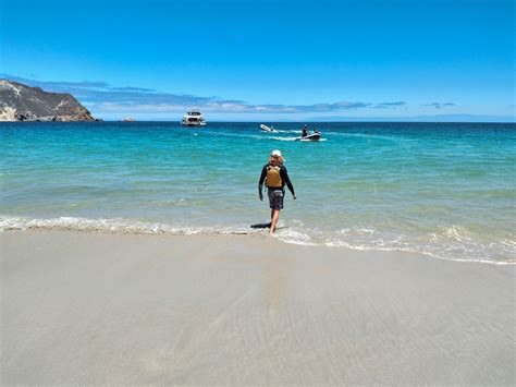 12 San Miguel Island Secrets To Explore