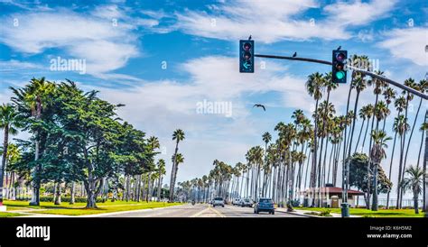 12+ Santa Barbara Boulevard Attractions