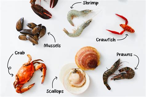 12 Sb Shellfish Co Tips For Fresh Catch