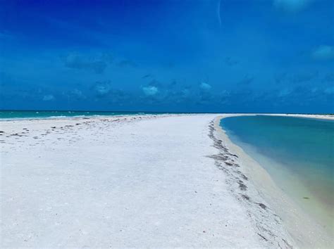 12 Three Rooker Island Secrets To Unlock Survival