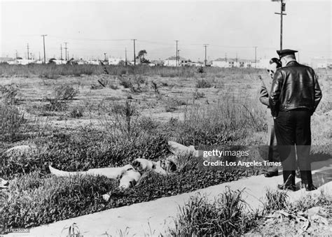 8 Key Clues From The Black Dahlia Crime Scene Explained