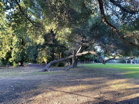 8 Stow Grove Park Tips To Save Time