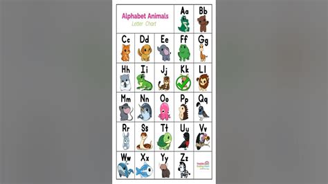 Alphabet Animals Abcdefghijklmnopqrstuvwxyz Youtube Alphabet Animals Abcdefghijklmnopqrstuvwxyz Youtube