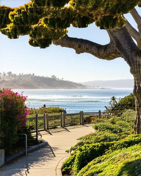 Arigato Santa Barbara Guide: Explore Hidden Gems