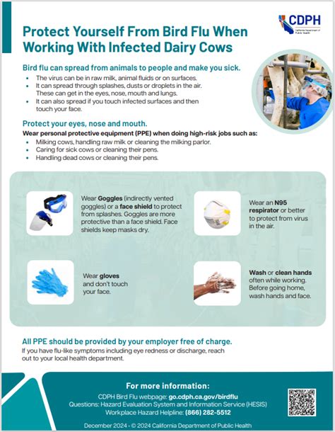 Avian Flu 2024: Protect Yourself Now