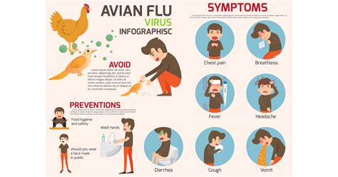 Avian Flu 2024