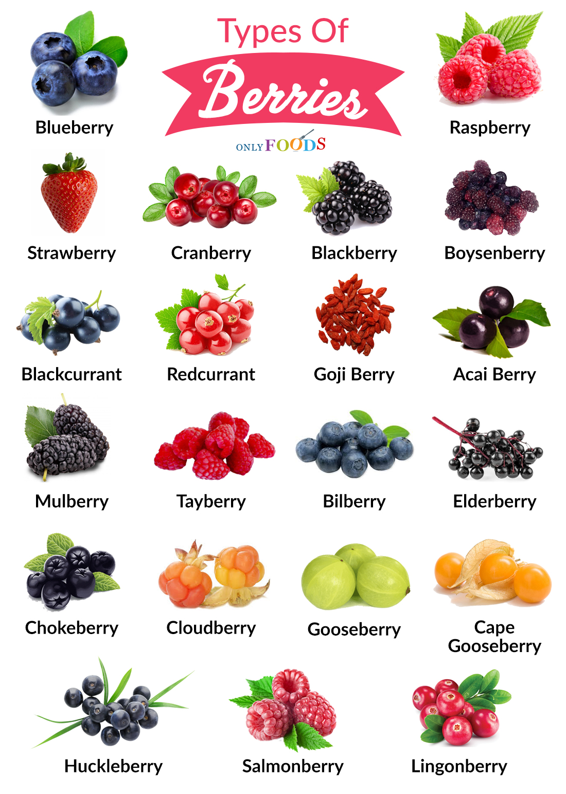 Berry Elementary School Guide: Navigate With Ease