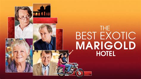 Best Exotic Marigold 2: Find Your Perfect Retirement Haven