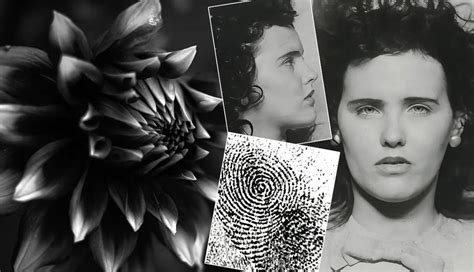 Black Dahlia Case: Understanding The Grisly Murder Details