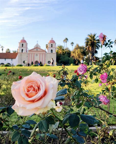 Botanical Garden Santa Barbara: Explore 1000S Plants