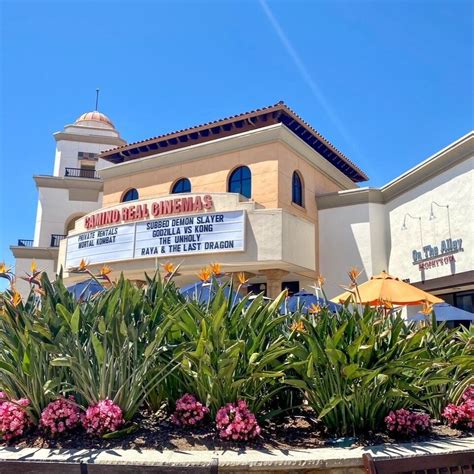 Camino Real Market: Shop Local Favorites Now
