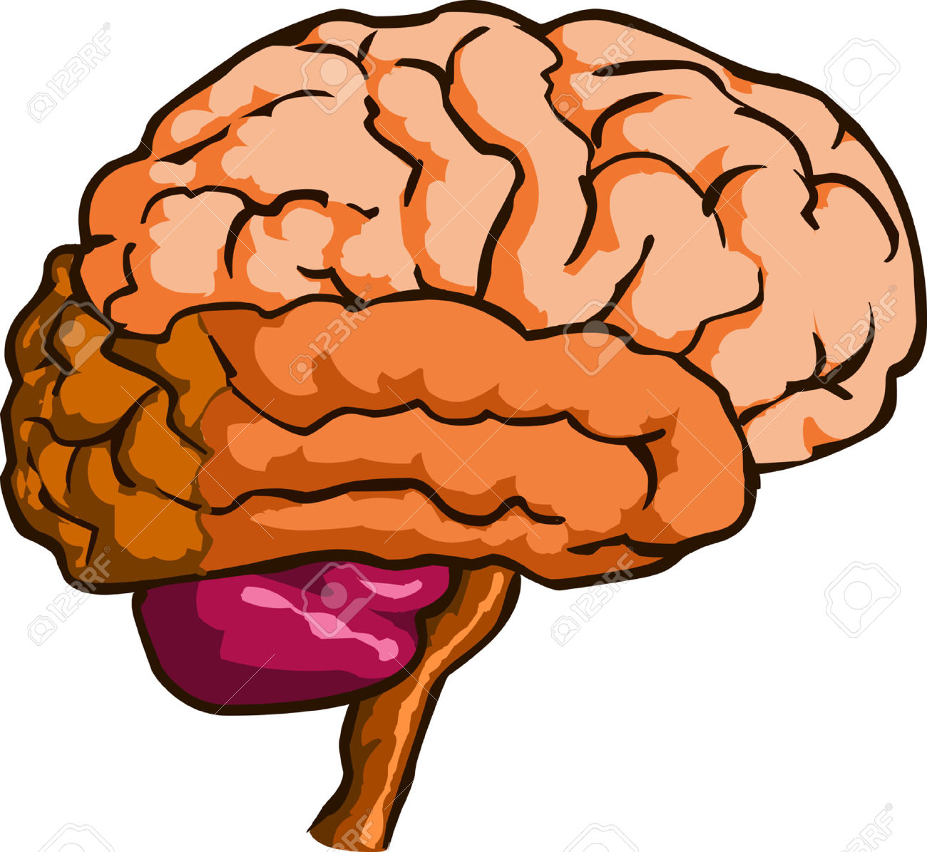 Clip Art Brain