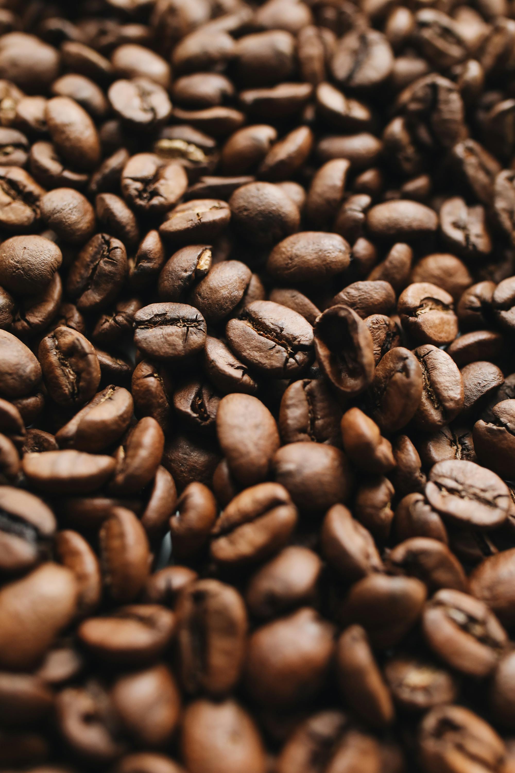 Coffee In Valley Guide: Best Brews
