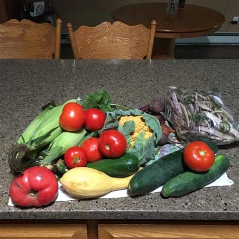 Csa 8 20 18 Carter S Red Wagon Farm