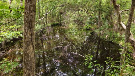 Definition Of Narrower