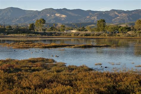 Devereux Slough Restoration Southern California Wetlands Recovery Project