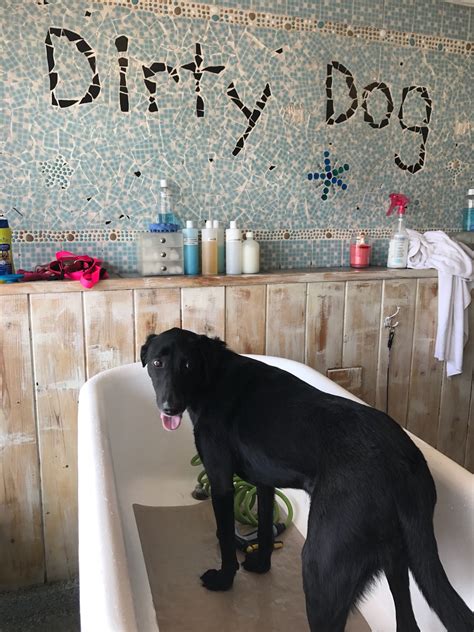 Dirty Dog Wash