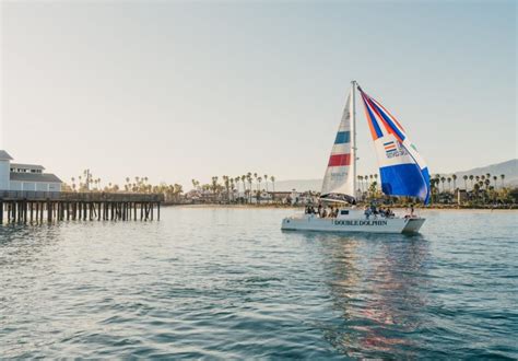 Dolphin Watching Santa Barbara: Guided Tours Daily