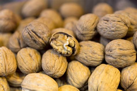 E Coli Outbreak Walnuts: Protect Your Health