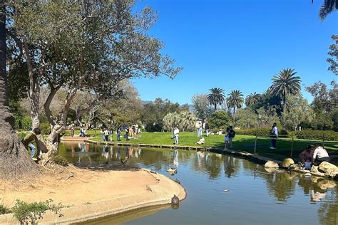 Easter Sunday At Alice Keck Park Memorial Garden Photo Of The Day