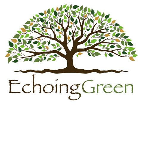 Echoing Green Inc
