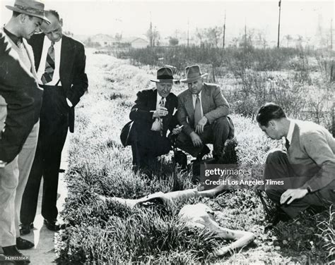 Elizabeth Short Black Dahlia Crime Scene 1947 The Crime Sc Flickr