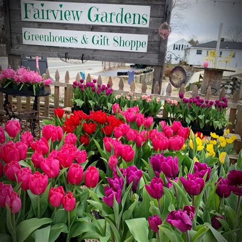 Fairview Gardens Ri Support Local Small Business Rhode Island Made Fairview Gardens Ri Support Local Small Business Rhode Island Made