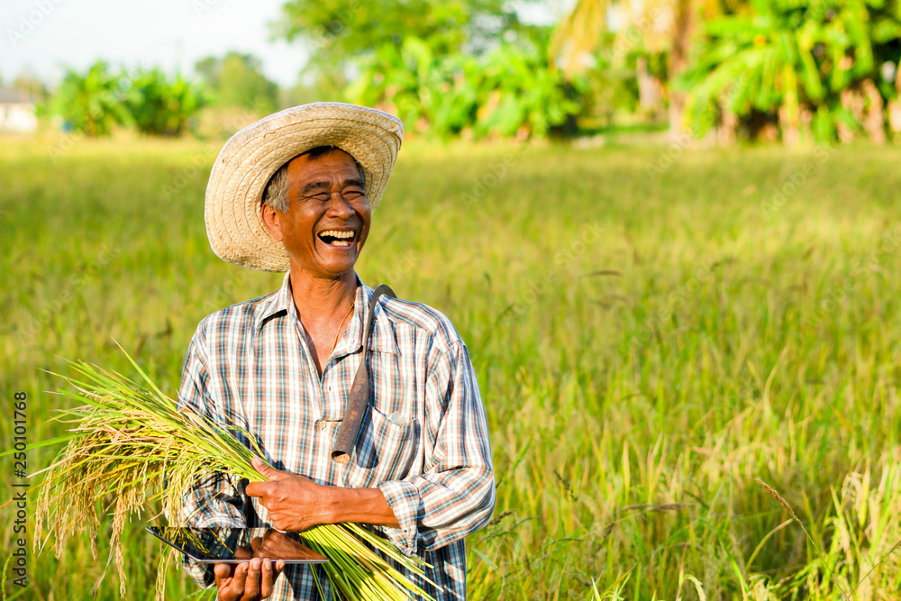 Farmer's Guide: Cooking Fresh Produce