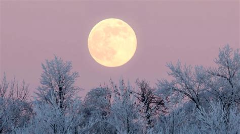 Full Moon When