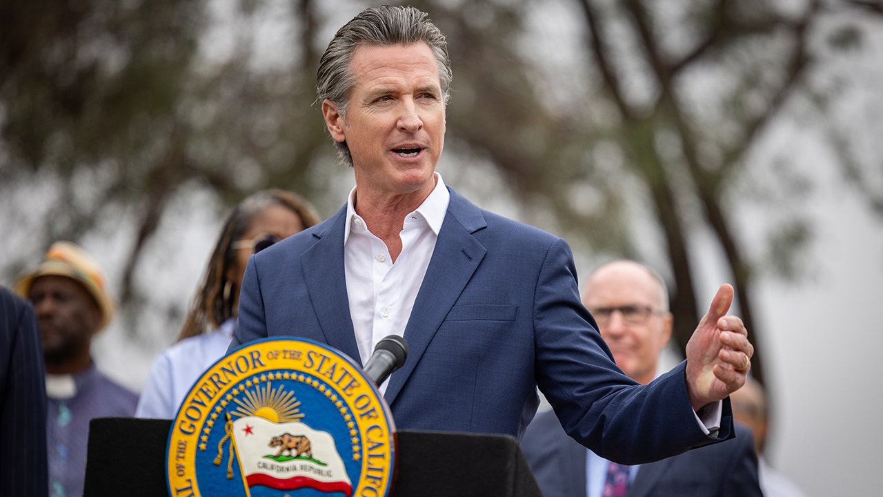 Gavin Newsom Gay: Facts About His Personal Life