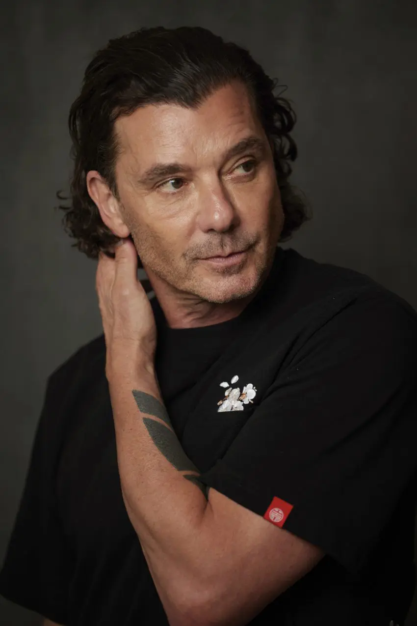 Gavin Newsom X