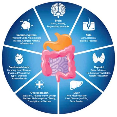 Get Inside My Belly: Easy Gut Health Solutions