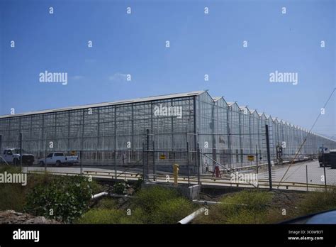 Glass House Farms