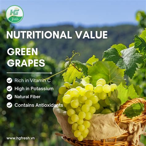 Got Grapes: Boost Health With Rich Antioxidants