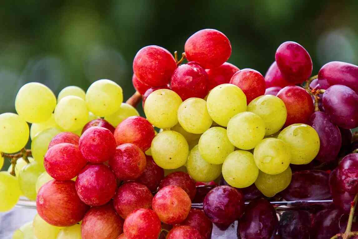 Grapes: Get Nutritious Benefits Daily
