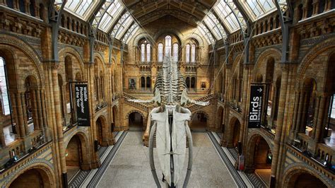 History Of Natural History