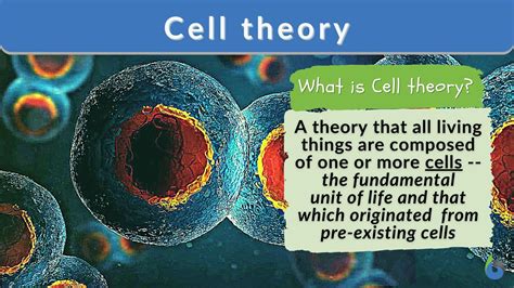 How Does Cell Theory Work? Essential Concepts