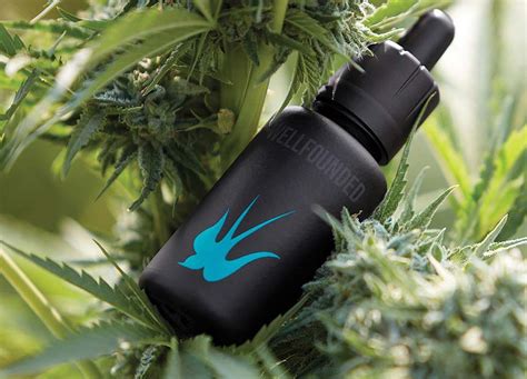 How Does Farmacy Santa Barbara Work? Cannabis Relief Guide